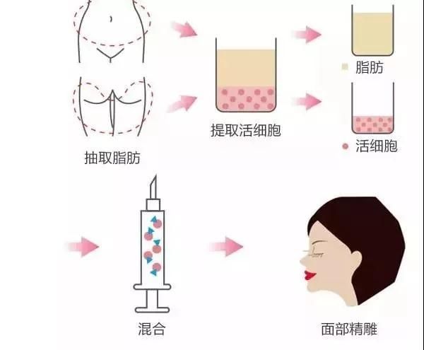 三八线在哪(三八线在哪个位置)