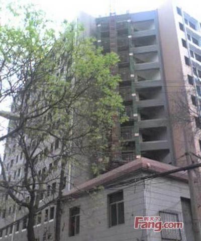 新庆在哪里(新清在线)