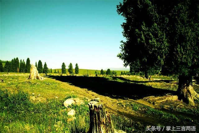 那那堤在哪儿的简单介绍