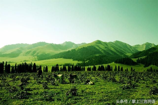 那那堤在哪儿的简单介绍