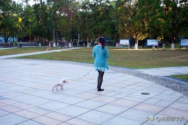 景德镇动物园在哪里(景德镇诸仙洞动物园)