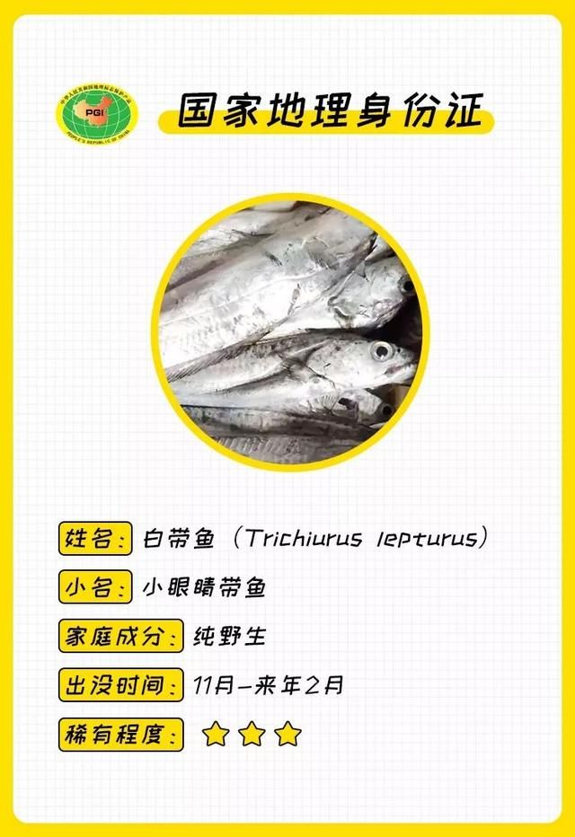 温岭海鲜大排档在哪里(温岭石塘镇海鲜大排档)