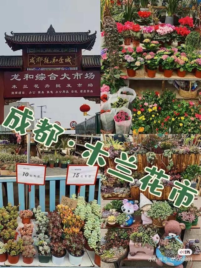 沙西线在哪(沙西线改造最新消息)