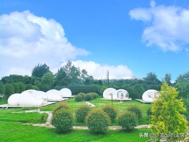 成都天府玫瑰谷在哪里(成都南天府在哪里)