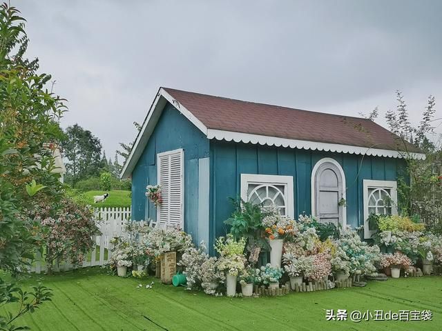成都天府玫瑰谷在哪里(成都南天府在哪里)