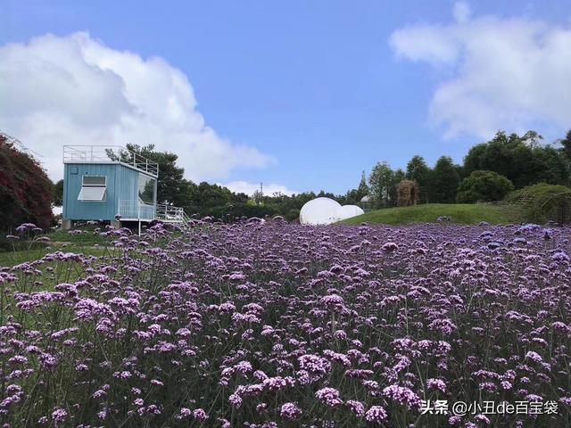 成都天府玫瑰谷在哪里(成都南天府在哪里)