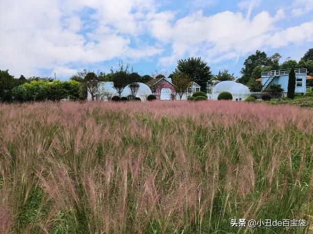 成都天府玫瑰谷在哪里(成都南天府在哪里)