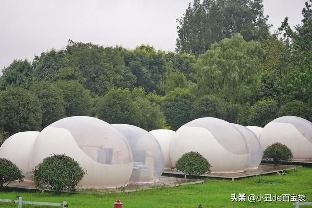成都天府玫瑰谷在哪里(成都南天府在哪里)