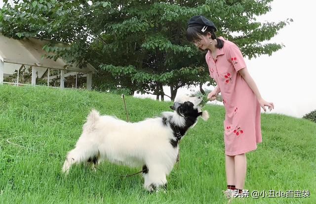 成都天府玫瑰谷在哪里(成都南天府在哪里)