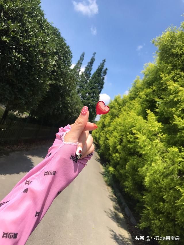 成都天府玫瑰谷在哪里(成都南天府在哪里)