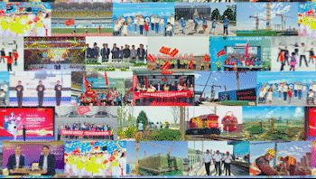 胸膛在哪(胸膛在哪个位置图解)