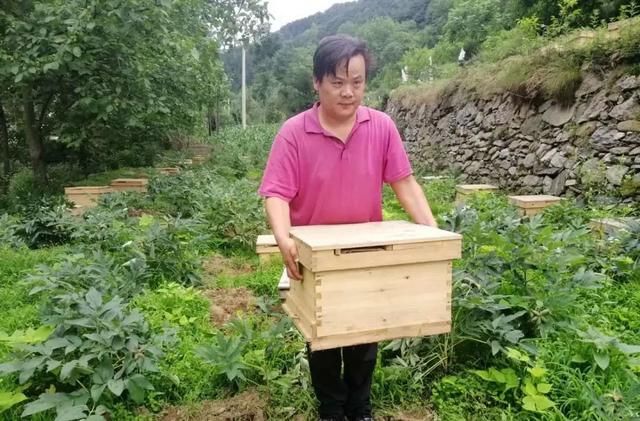 胸膛在哪(胸膛在哪个位置图解)