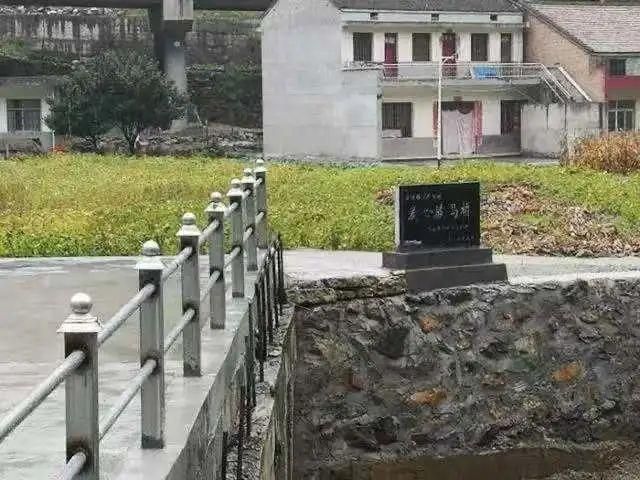 胸膛在哪(胸膛在哪个位置图解)
