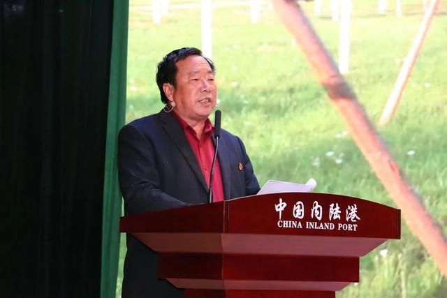 胸膛在哪(胸膛在哪个位置图解)