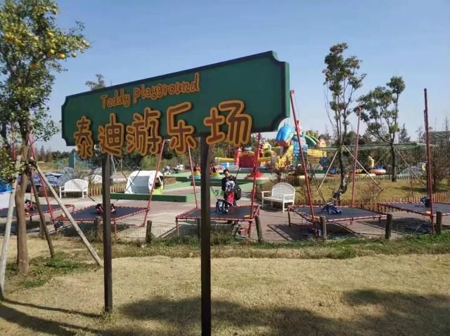 泰迪农场在哪(娉拌开鍐滃満)