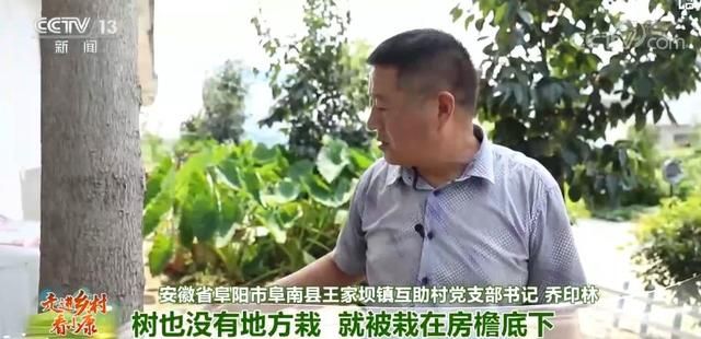 乐庄在哪里(乐币在哪里看)