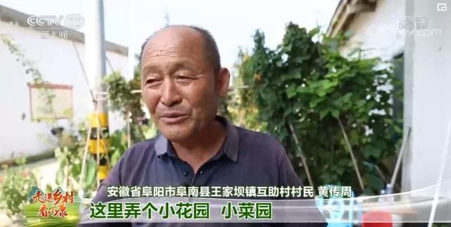 乐庄在哪里(乐币在哪里看)