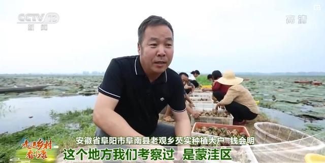 乐庄在哪里(乐币在哪里看)