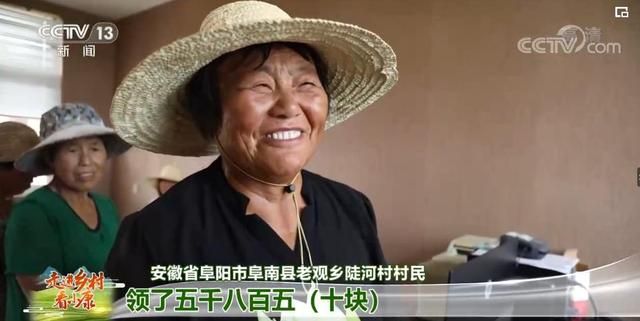乐庄在哪里(乐币在哪里看)