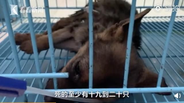 成都市工商管理局官网(北京市工商管理局官网)