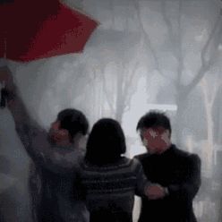 爱在晚晴天在哪能看(爱在晚晴天)