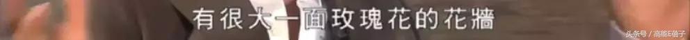 爱在晚晴天在哪能看(爱在晚晴天)