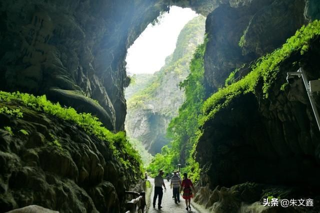 巴马天坑在哪(广西巴马天坑)