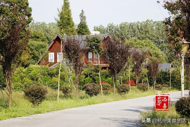镇江市中心在哪个区(镇江市新区属于哪个区)