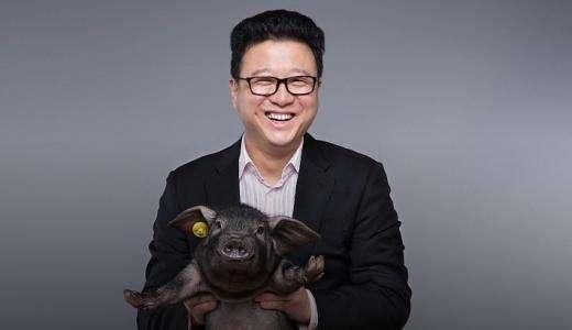 首富养猪在哪(从养猪大亨到世界首富小说)