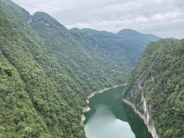 风景在哪例子(枫泾在哪里)