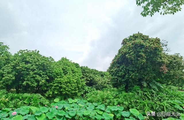 广州石榴岗在哪里(广州石榴岗路7号大院)
