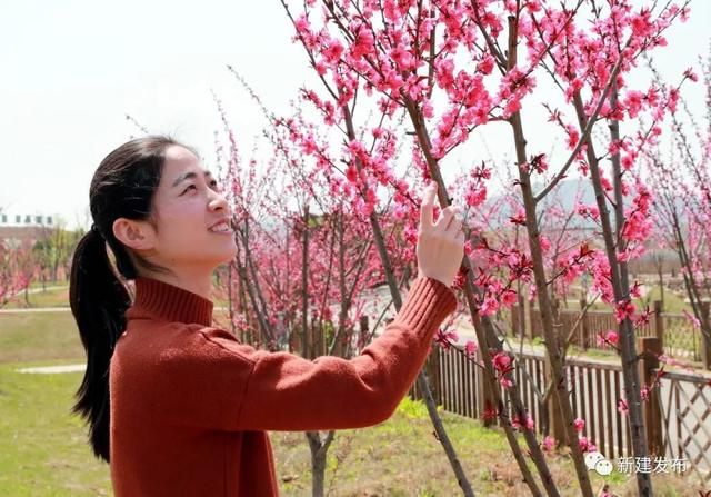 溪霞现代农业园在哪里(溪霞现代农业园)