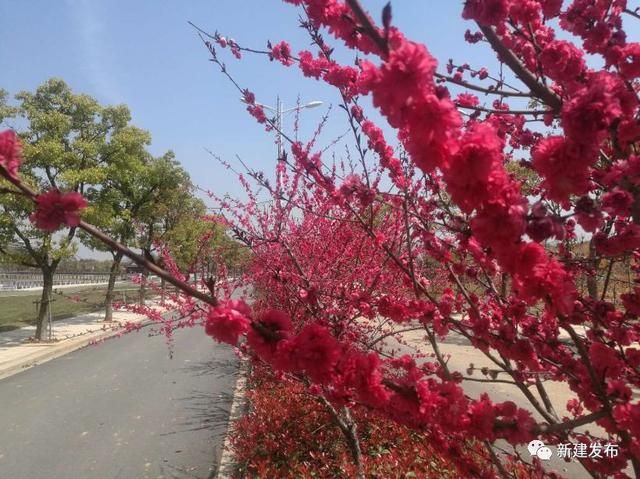 溪霞现代农业园在哪里(溪霞现代农业园)