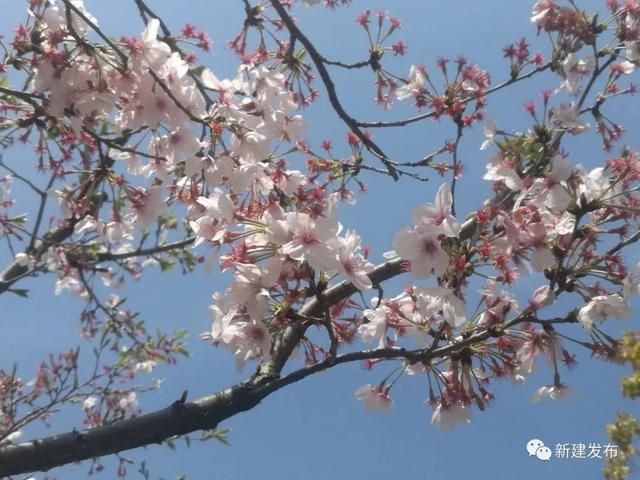 溪霞现代农业园在哪里(溪霞现代农业园)