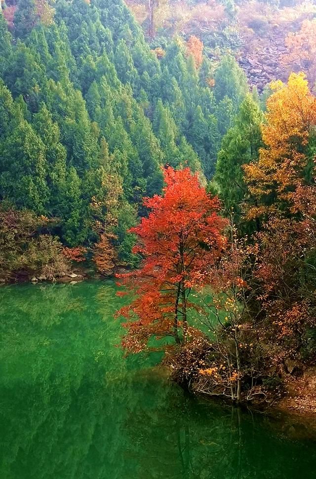 白龙湖在哪里(白龙池在哪里)