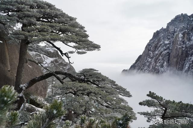 黄山在哪个县(黄山在哪个省哪个市哪个县)