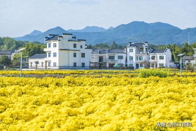 黄山在哪个县(黄山在哪个省哪个市哪个县)