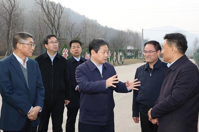 细林在哪(西林在哪个省)