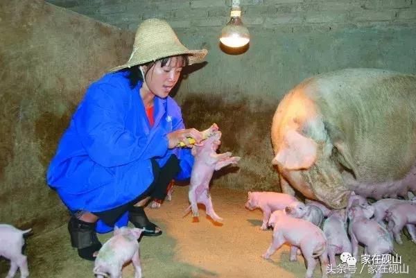 砚山小鸡街在哪个位置的简单介绍