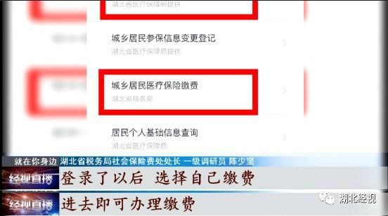 湖北省楚税通(湖北楚税通app)
