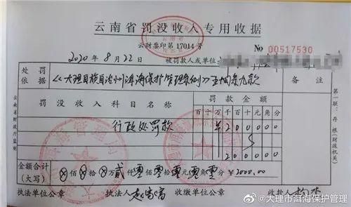 双叒在哪里(双肾在哪里)