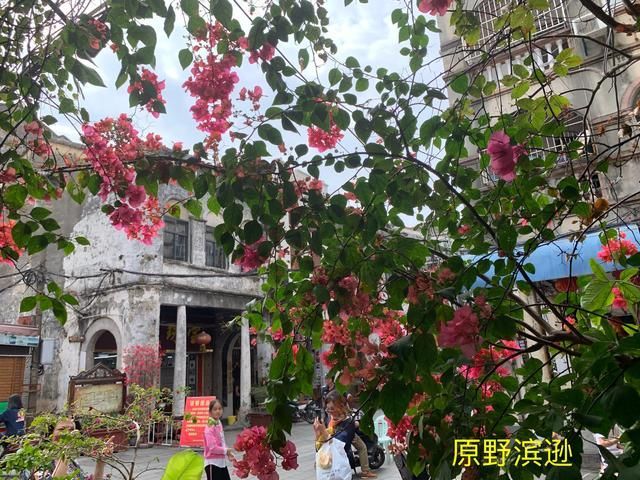 到涠洲岛在哪里坐船(涠洲岛在哪里坐船)