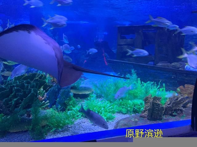 到涠洲岛在哪里坐船(涠洲岛在哪里坐船)