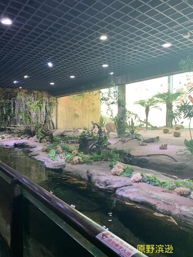 到涠洲岛在哪里坐船(涠洲岛在哪里坐船)