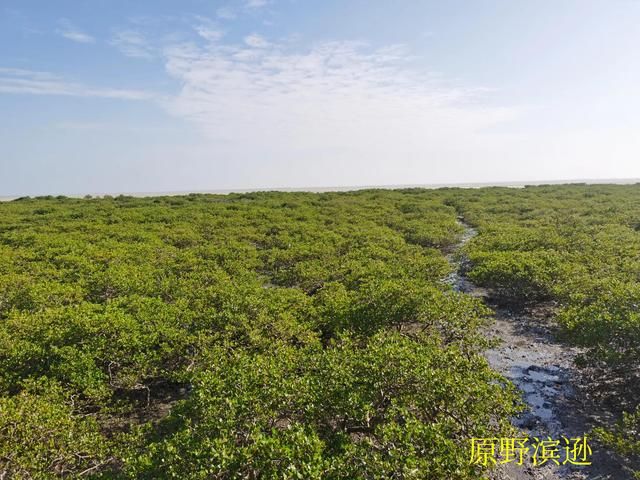 到涠洲岛在哪里坐船(涠洲岛在哪里坐船)