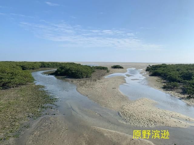 到涠洲岛在哪里坐船(涠洲岛在哪里坐船)