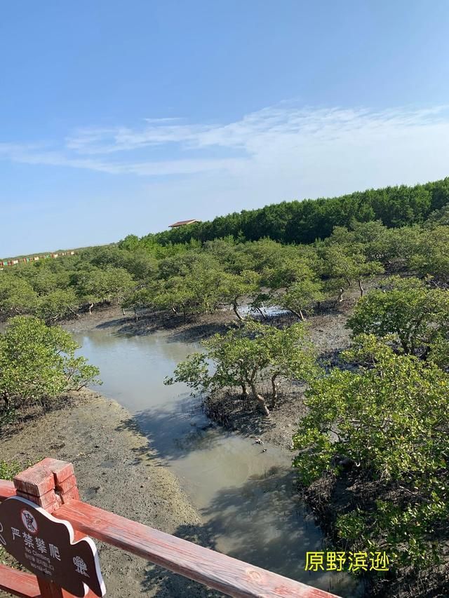 到涠洲岛在哪里坐船(涠洲岛在哪里坐船)