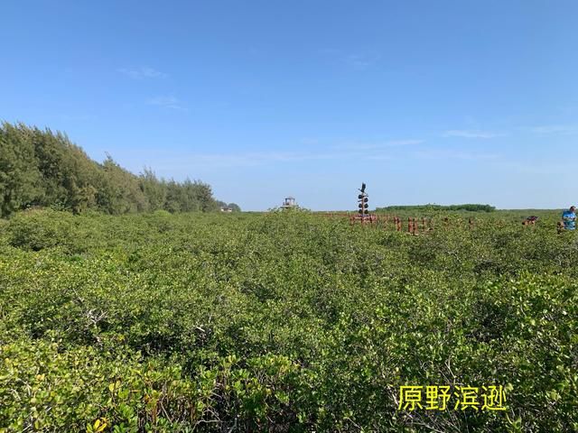到涠洲岛在哪里坐船(涠洲岛在哪里坐船)