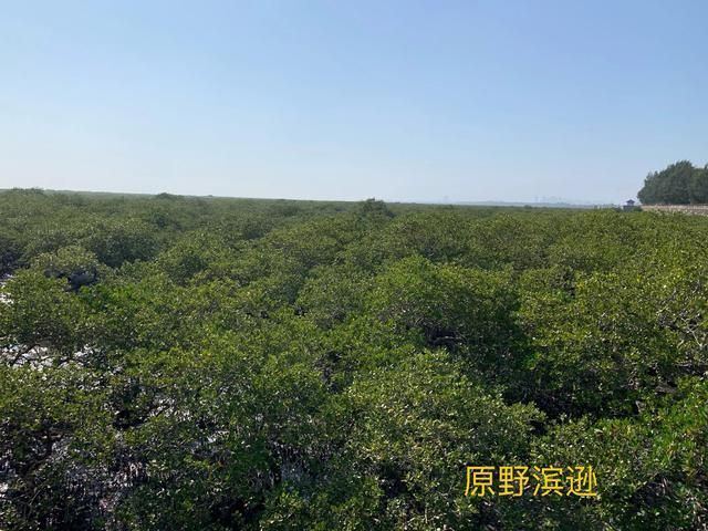 到涠洲岛在哪里坐船(涠洲岛在哪里坐船)