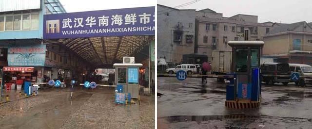 螃蟹在哪(西部炸螃蟹在哪)